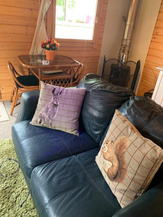 인버네스 Cosy Countryside Cabin 빌라 외부 사진